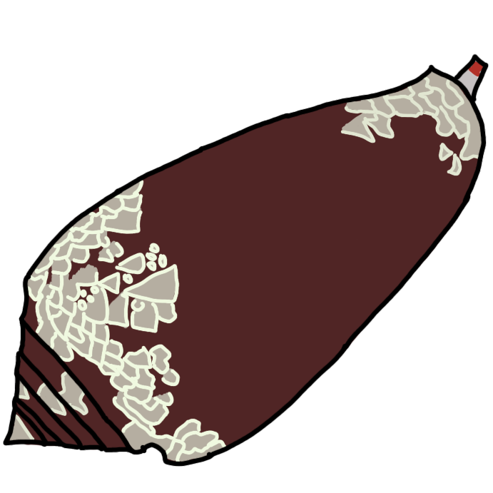 A drawing of a cone snail. The snail has a mostly brown shell but the front and back of the shell have splotches that are grayish white scattered about. The splotches are outlined in an off white color